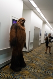 Michigan Comic Con-08.18.18.0520
