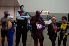 Michigan Comic Con-08.18.18.2-3